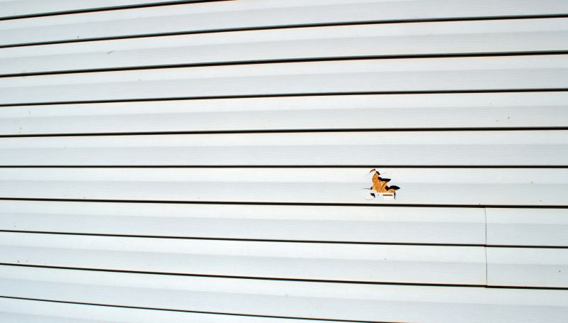 Sealing Siding Joints